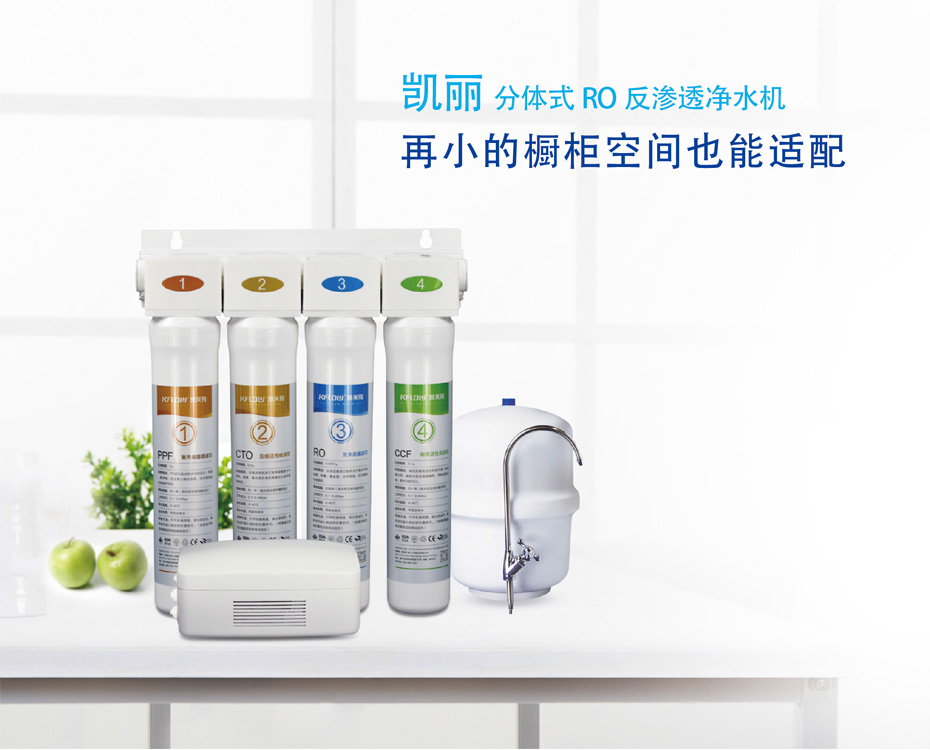 凱麗分體式RO反滲透凈水機
